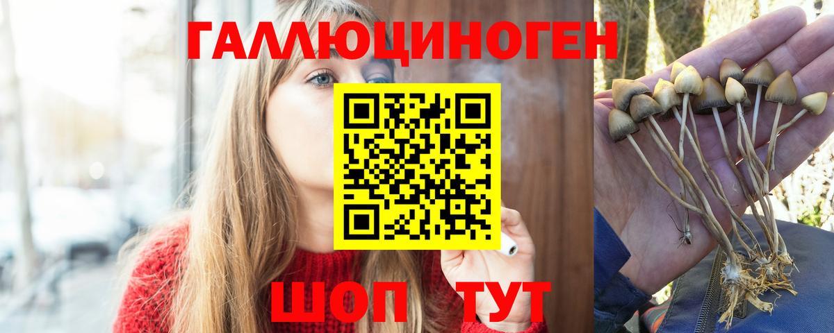 Галлюциногенные грибы мухоморы  Псилоцибиновые грибы Cubensis  Сорочинск  Вход с VPN 